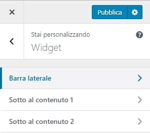 Opzione personalizza aspetto di wordpress widget